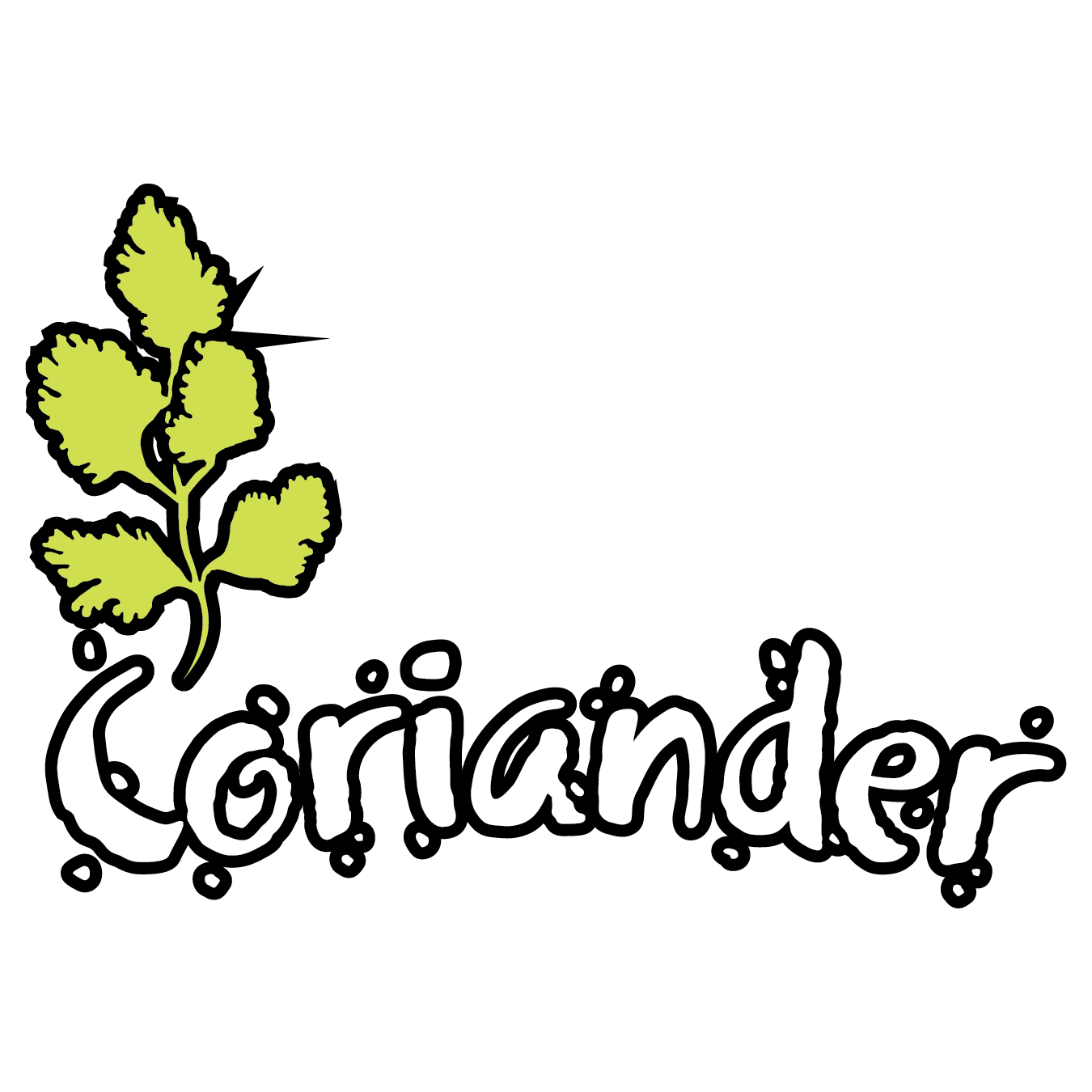 Coriander